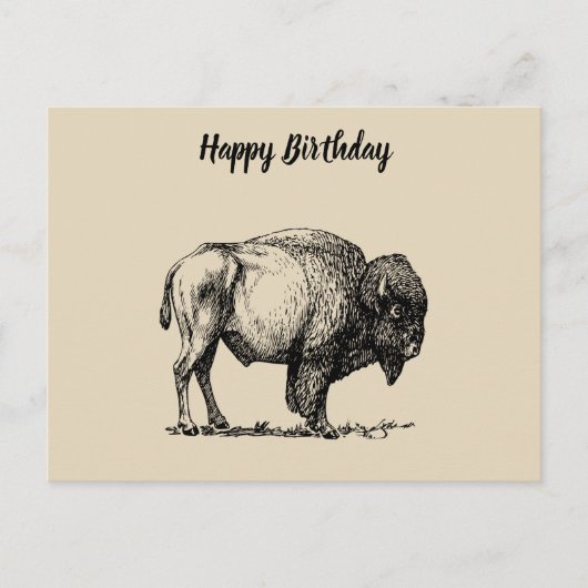 American Buffalo Bison Briefkaart (Voorkant)