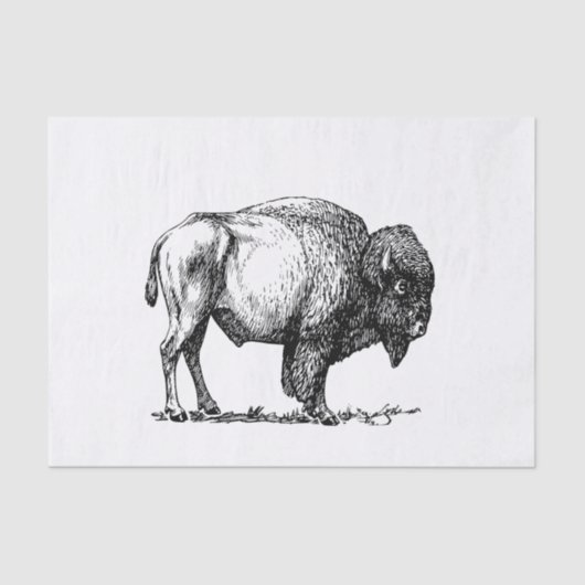 American Buffalo Bison Tissuepapier (Voorkant)