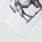 American Buffalo Bison Tissuepapier (Detail)