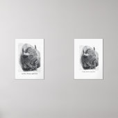 American Buffalo Muurkunst Sets (Voorkant)