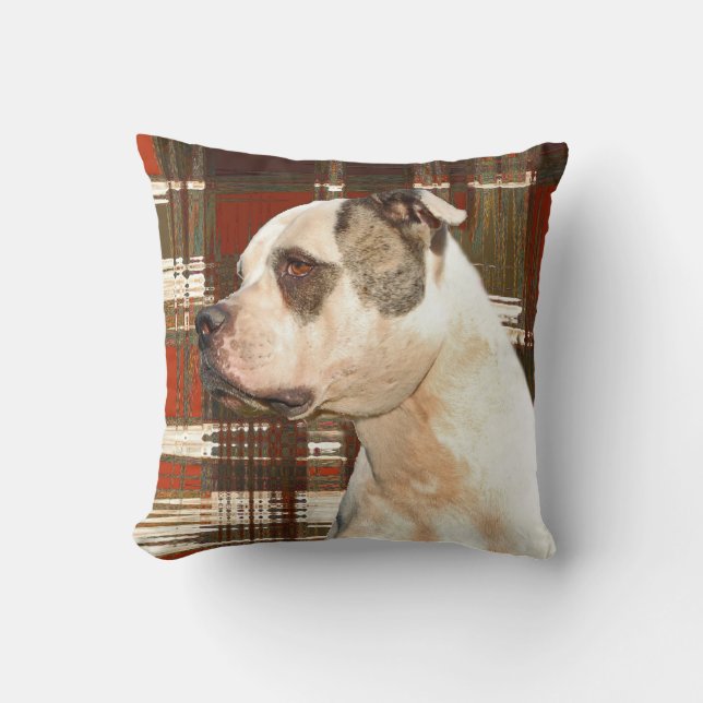 American Bulldog Plaid Kussen (Voorkant)
