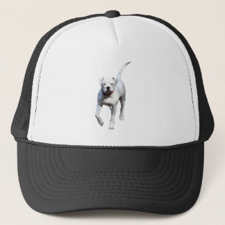 American Bulldog Pup Trucker Pet