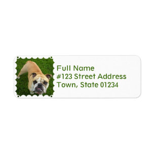 American Bulldog Return Label