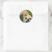 American Bulldog Stickers (Tas)