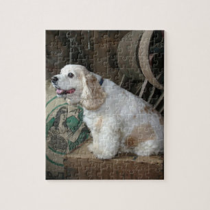 american cocker spaniel sitting legpuzzel