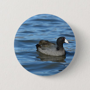 American Coot Ronde Button 5,7 Cm