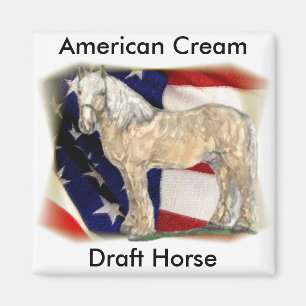 American Cream Horse Magnet Magneet