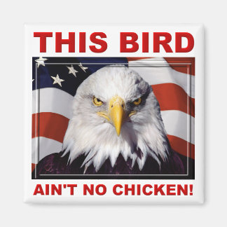 American Eagle Ain No Chicken Fridge Magnet Magneet