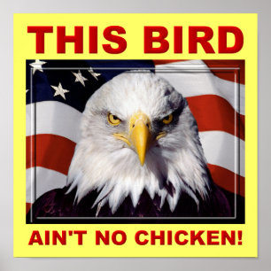 American Eagle Ain't No Chicken Poster Bord