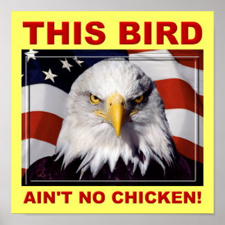 American Eagle Ain't No Chicken Poster Bord