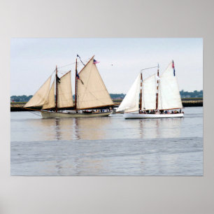 American Eagle en Adirondack III Poster