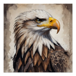 American Eagle no 7 Glanzend Poster Perfect Poster