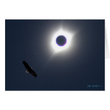 American Eclipse 21 augustus 2017