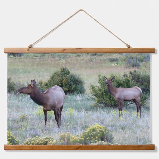 American Elk | Colorado Hangend Wandkleed (Voorkant)