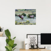 American Elk | Colorado Poster (Thuiskantoor)