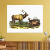 American Elk, of Wapiti Deer door Audubon Canvas Afdruk (Insitu (Woonkamer))
