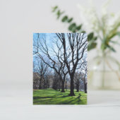 American Elm Trees Briefkaart (Staand voorkant)