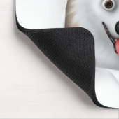 American Eskimo Busting Out Muismat (Hoek)