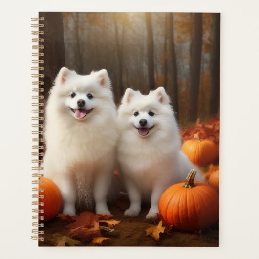 American Eskimo Chiot Automne Citrouille délice (Devant)