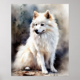 American Eskimo Dog Art Poster