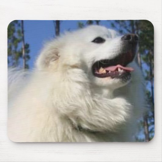 American Eskimo Dog Mousepad Muismat (Voorkant)