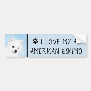 American Eskimo Dog Painting - Original Dog Art Bumpersticker