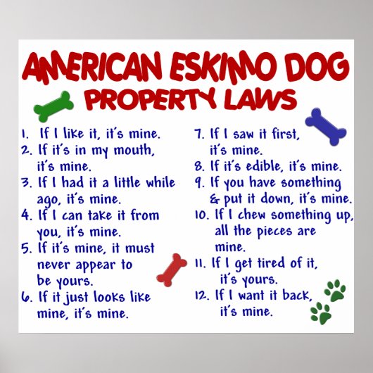 AMERICAN ESKIMO DOG PL2 POSTER (Voorkant)