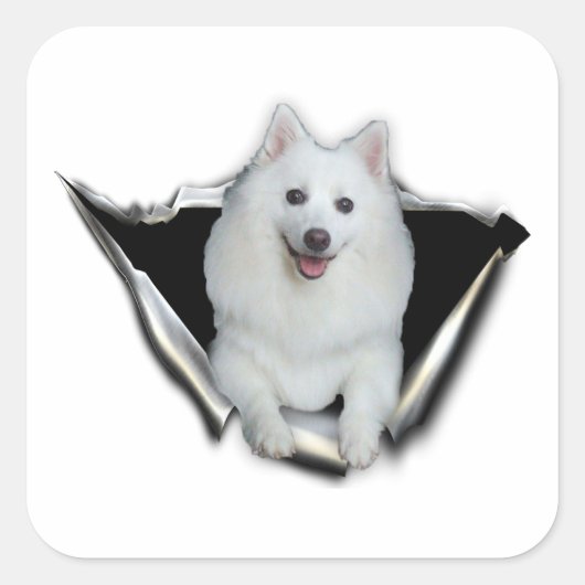 American Eskimo Lovers Vierkante Sticker (Voorkant)