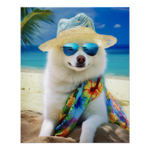 American Eskimo op Beach, zomercadeau voor hondenl Perfect Poster