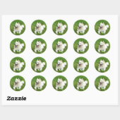 American Eskimo - Stickers Enveloppe (Feuille)