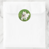 American Eskimo - Stickers Enveloppe (Sac)
