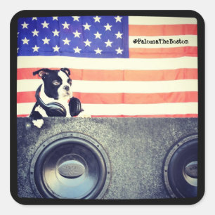 American Flag, Boston Terrier autocollant