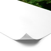 American Flag Display Poster (Hoek)