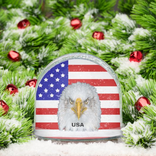 American Flag, Eagle and Text (Noël)