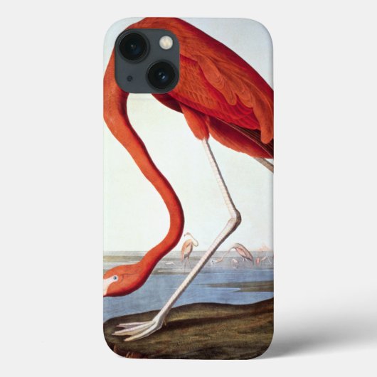 American Flamingo Case-Mate iPhone Case (Achterkant)