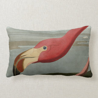 American Flamingo Kussen