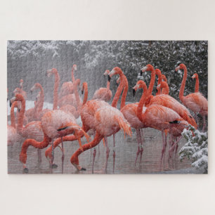 American Flamingo Legpuzzel