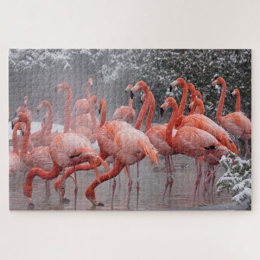 American Flamingo Legpuzzel (Horizontaal)