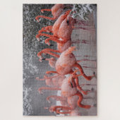 American Flamingo Legpuzzel (Verticaal)
