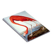 American Flamingo Notitieboek (Rechterzijde)
