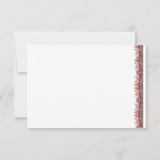 American Flamingo Notitiekaartje (Achterkant)