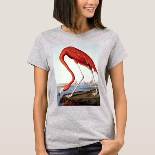 American Flamingo T-shirt (Voorkant)