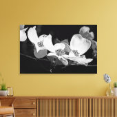 American Flowering Dogwood Blossoms Zwart & Wit Canvas Afdruk (Insitu (Woonkamer))