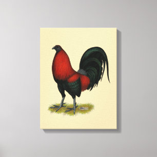 American Game BB Black Red Rooster Canvas Afdruk
