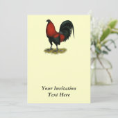 American Game BB Black Red Rooster Kaart (Staand voorkant)