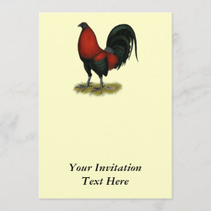 American Game BB Black Red Rooster Kaart