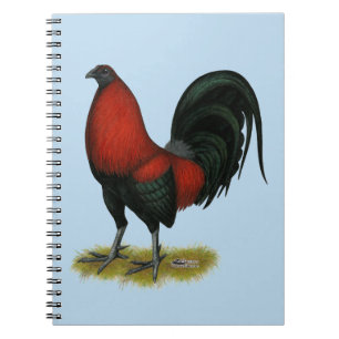 American Game BB Black Red Rooster Notitieboek