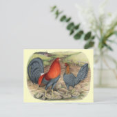 American Game Blue Reds Briefkaart (Staand voorkant)