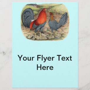 American Game Blue Reds Flyer