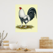 American Game Silver Blue Gamecock Poster (Keuken)